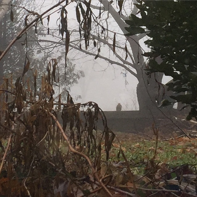 Fence Squirrel also knows when you are sleeping, and knows when you're awake.