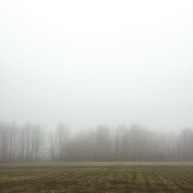 Ghost Forest #SkinnerCo