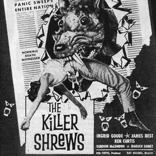 CCR25 - The Killer Shrews