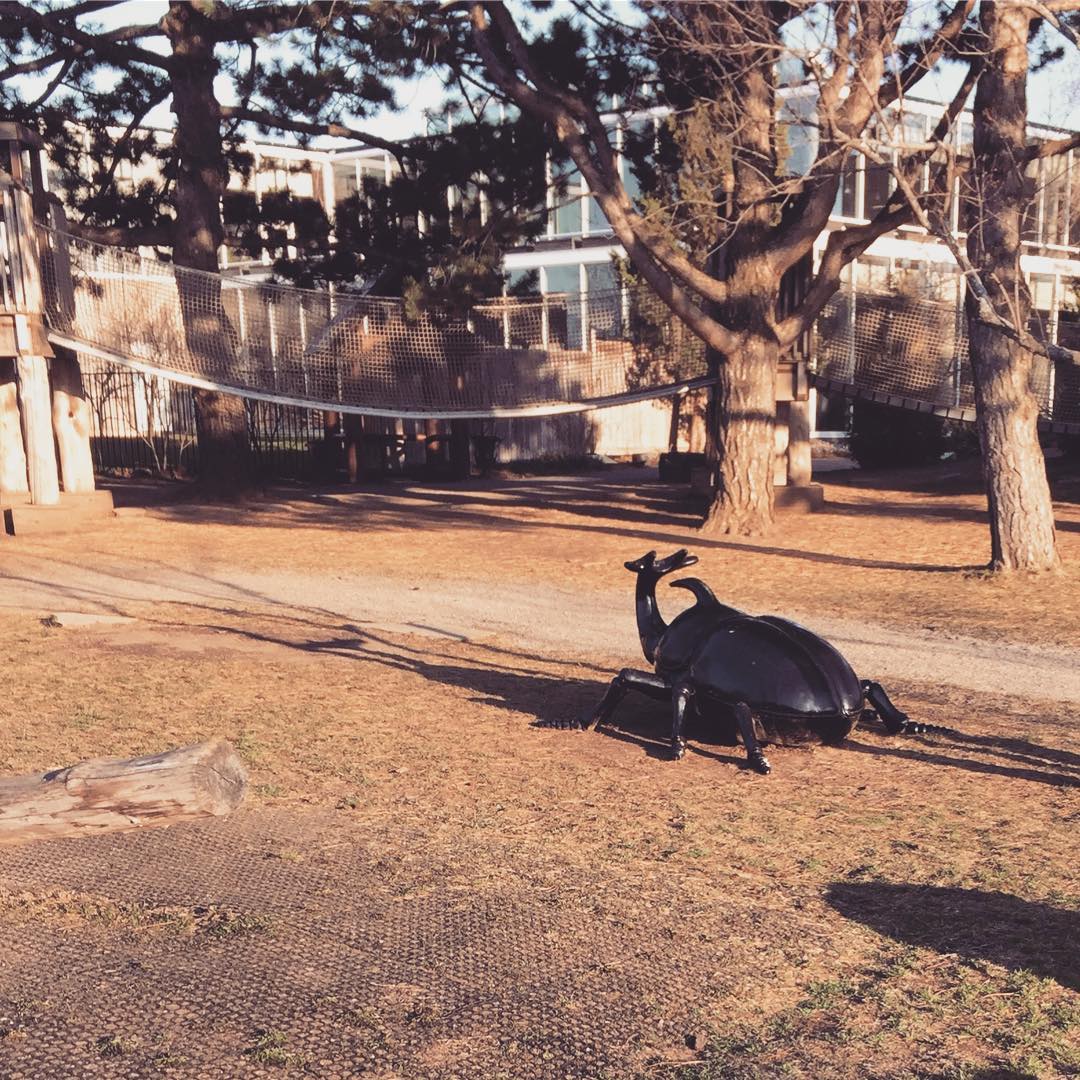 "Child, mount your beetle: We ride at dusk."