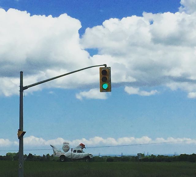 A lone chicken rides out of the west to save us all