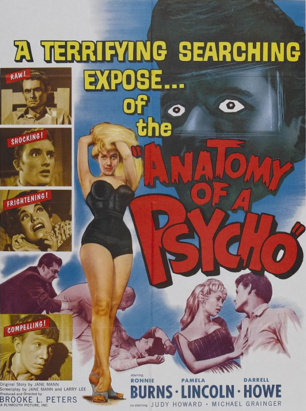 Anatomy of a Psycho Poster