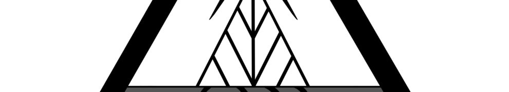 Skinner Co. Logo