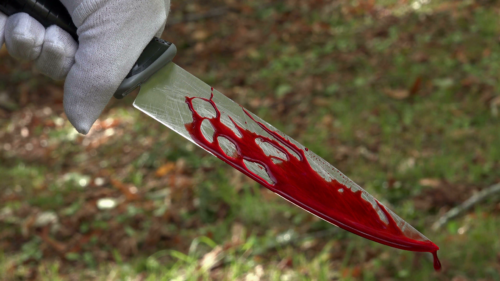 Bloody Knife