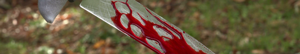 Bloody Knife