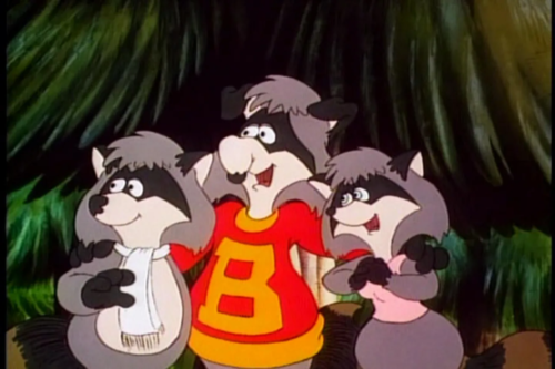 The Raccoons