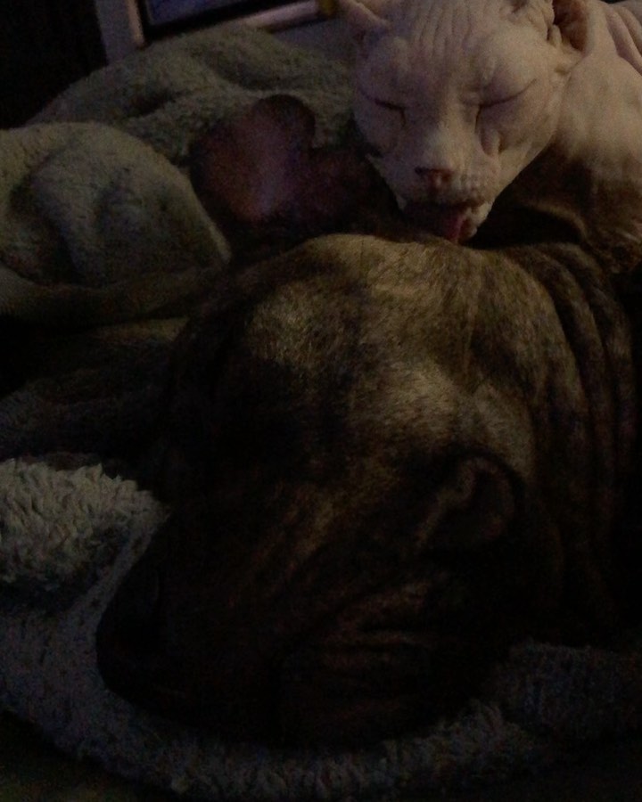 These two.