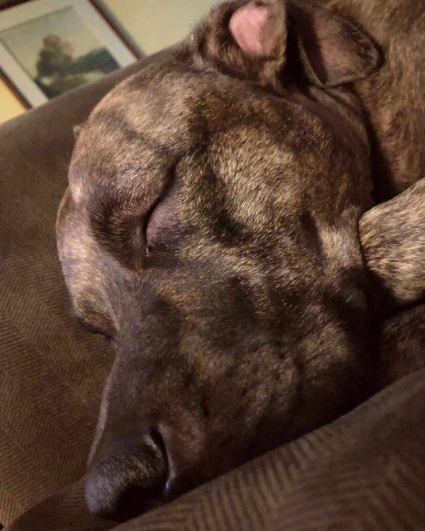 Long Week