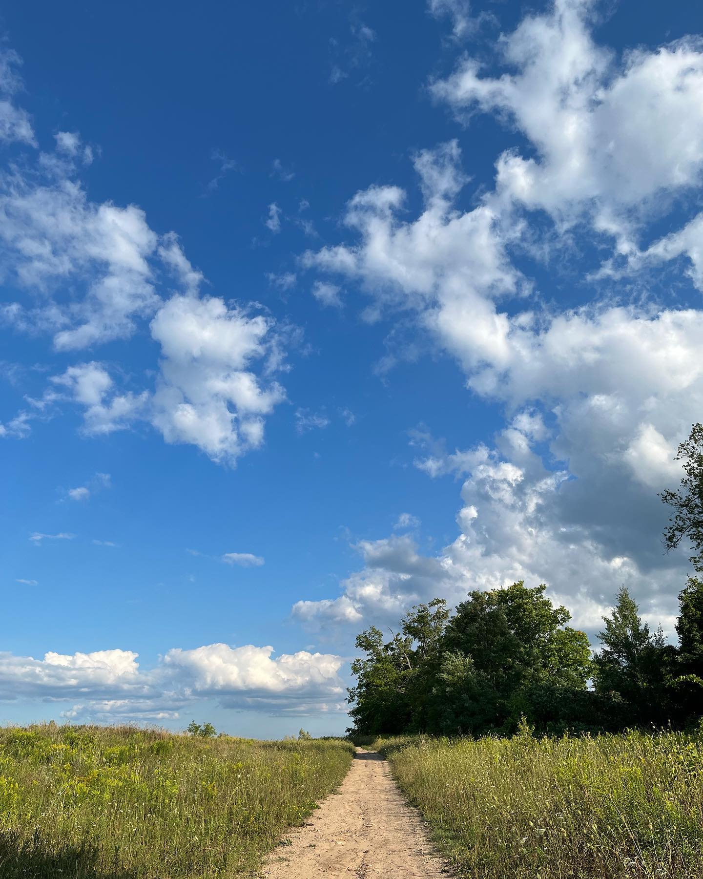 Summer stroll